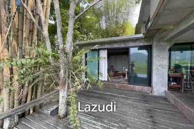 ขายบ้านสวย 2 หลังพร้อมที่ดิน 7 ไร่วิวภูเขา ในอ.แม่สาย