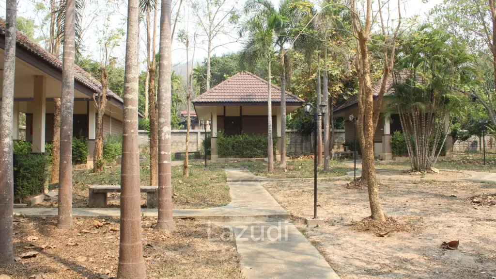 Close to mountain Resort in Chiang Rai for SALE!!!