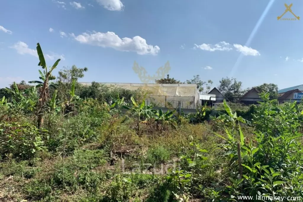 Good Land for Sale near Bypass Chiang Rai