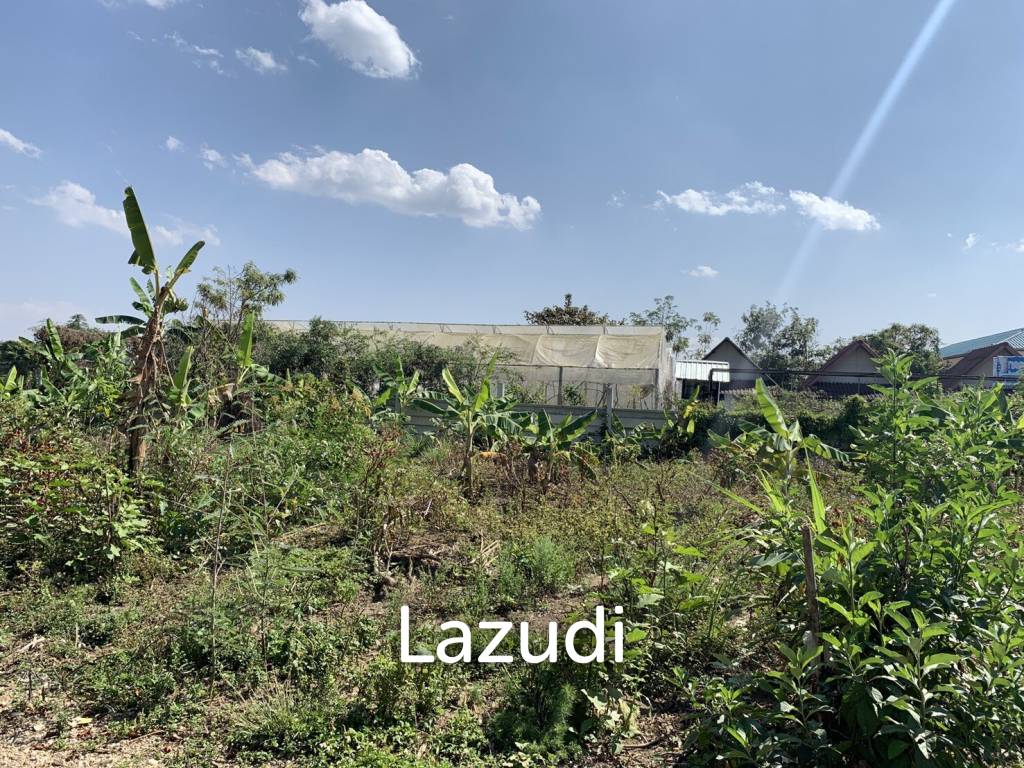 Good Land for Sale near Bypass Chiang Rai