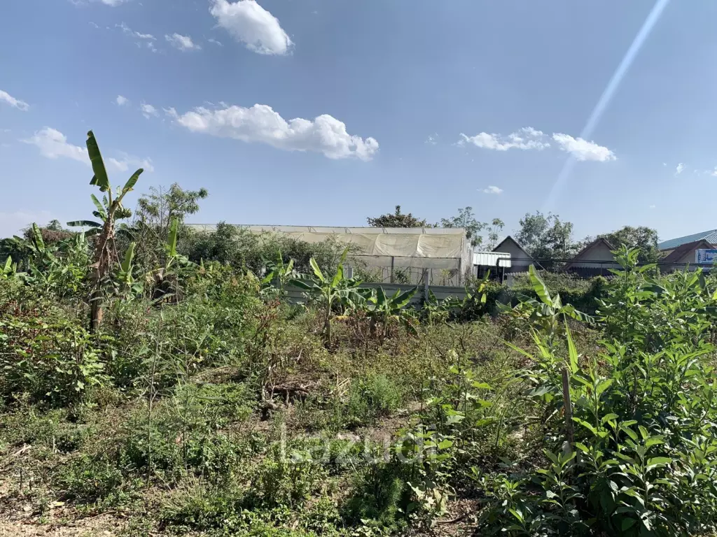 Good Land for Sale near Bypass Chiang Rai