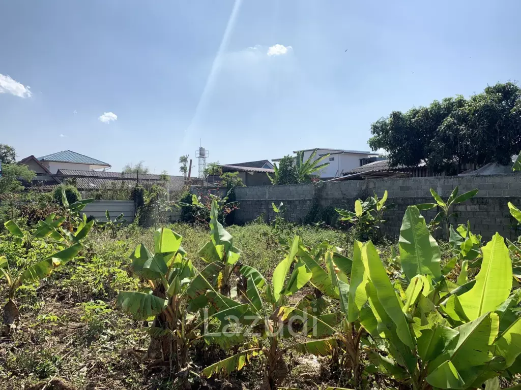 Good Land for Sale near Bypass Chiang Rai