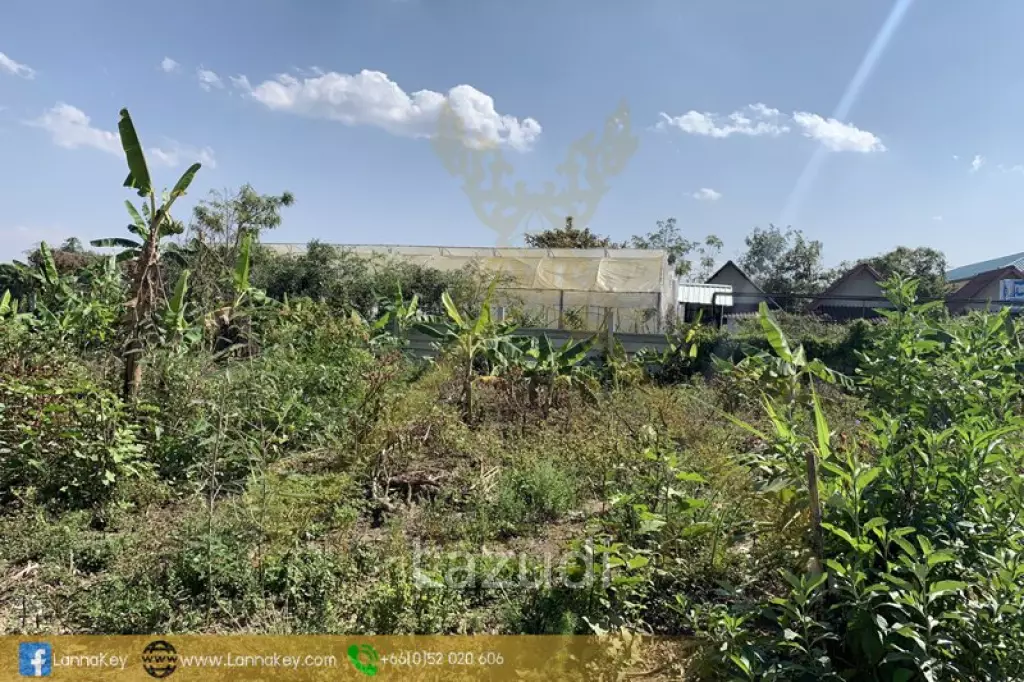 Good Land for Sale near Bypass Chiang Rai
