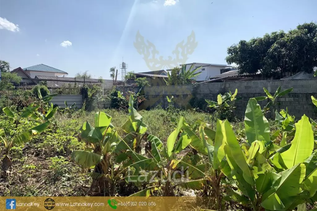 Good Land for Sale near Bypass Chiang Rai