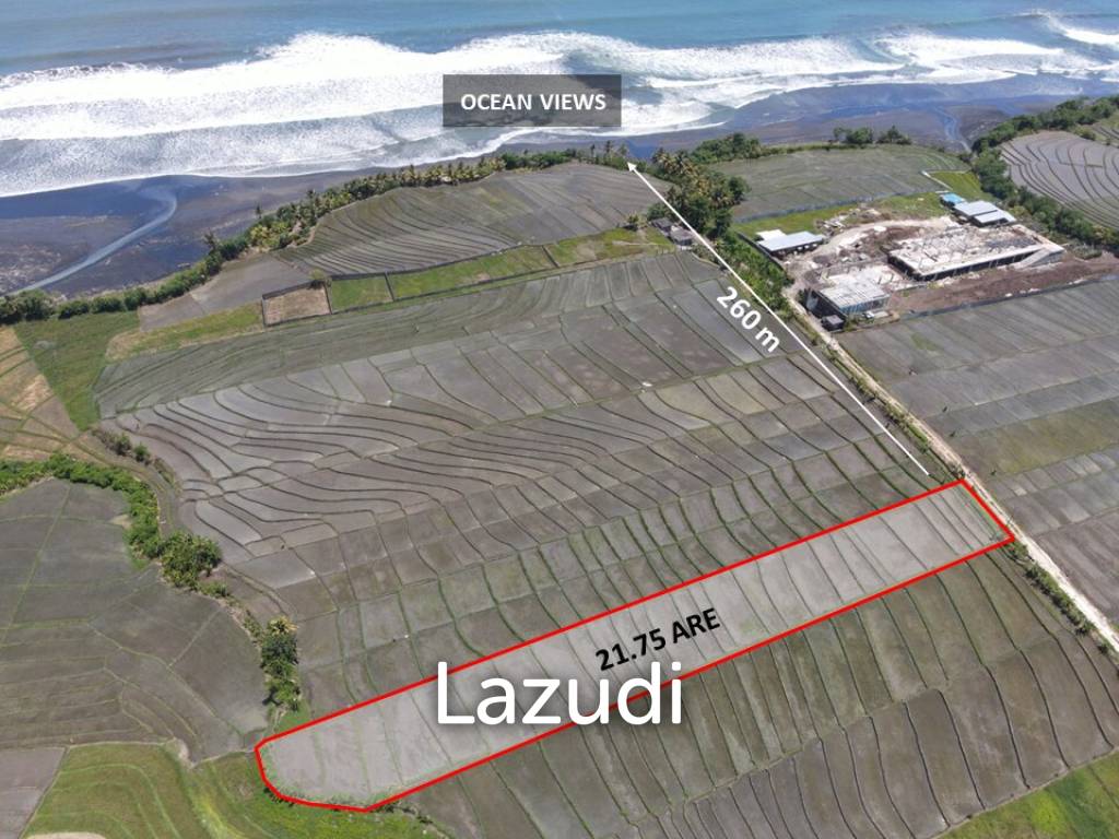 LEASEHOLD LAND WALKING DISTACE TO THE BEACH IN TABANAN