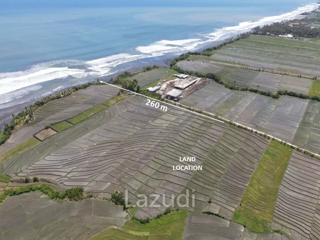 LEASEHOLD LAND WALKING DISTACE TO THE BEACH IN TABANAN