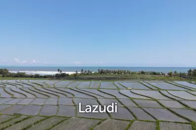 LEASEHOLD LAND WALKING DISTACE TO THE BEACH IN TABANAN