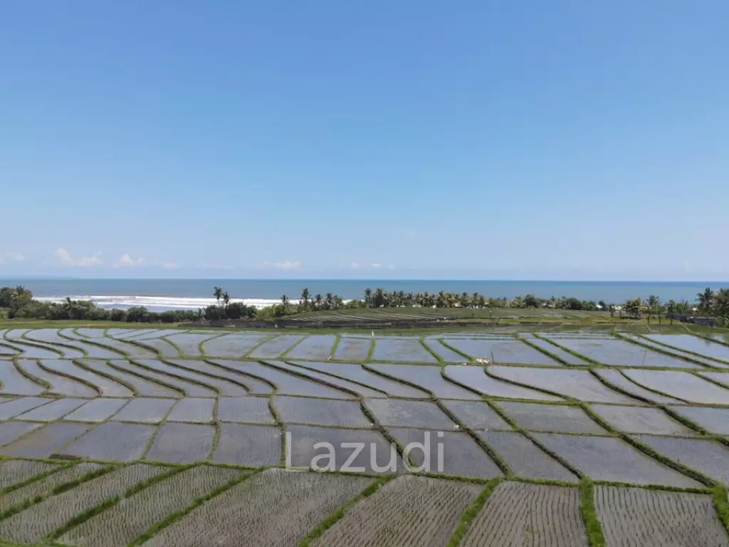 LEASEHOLD LAND WALKING DISTACE TO THE BEACH IN TABANAN