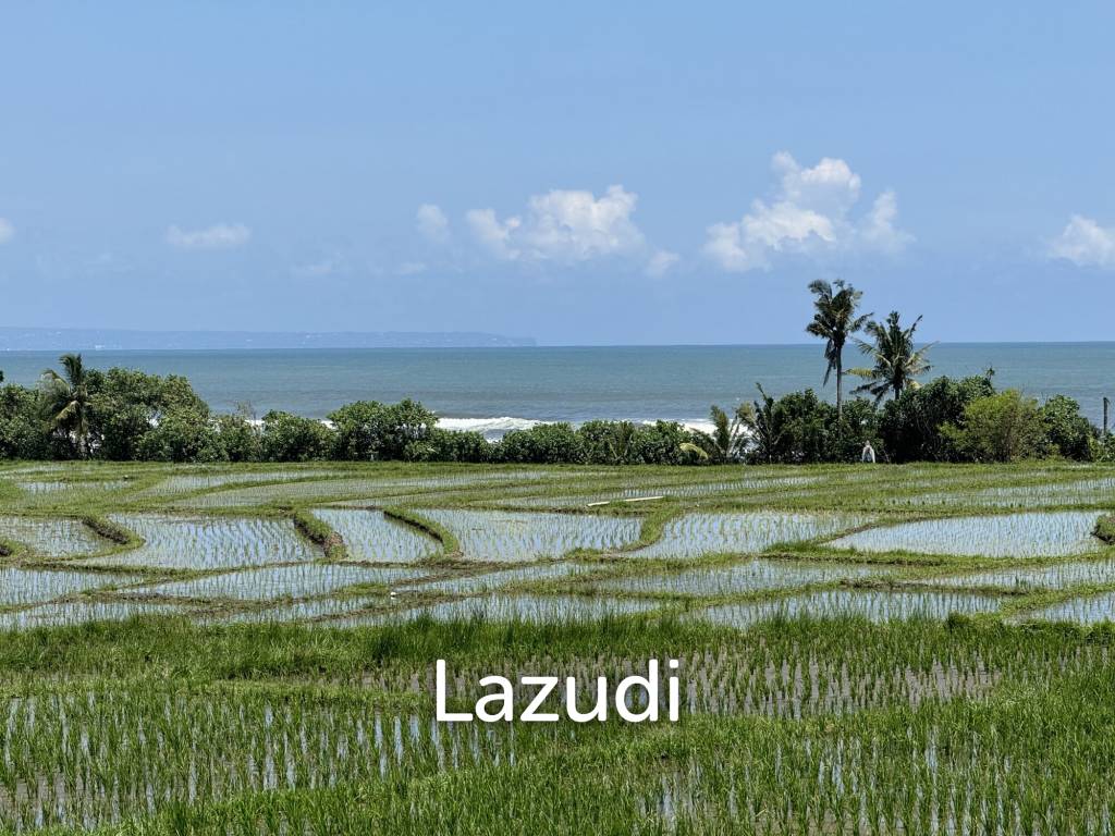 LEASEHOLD LAND WALKING DISTACE TO THE BEACH IN TABANAN