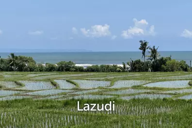 LEASEHOLD LAND WALKING DISTACE TO THE BEACH IN TABANAN