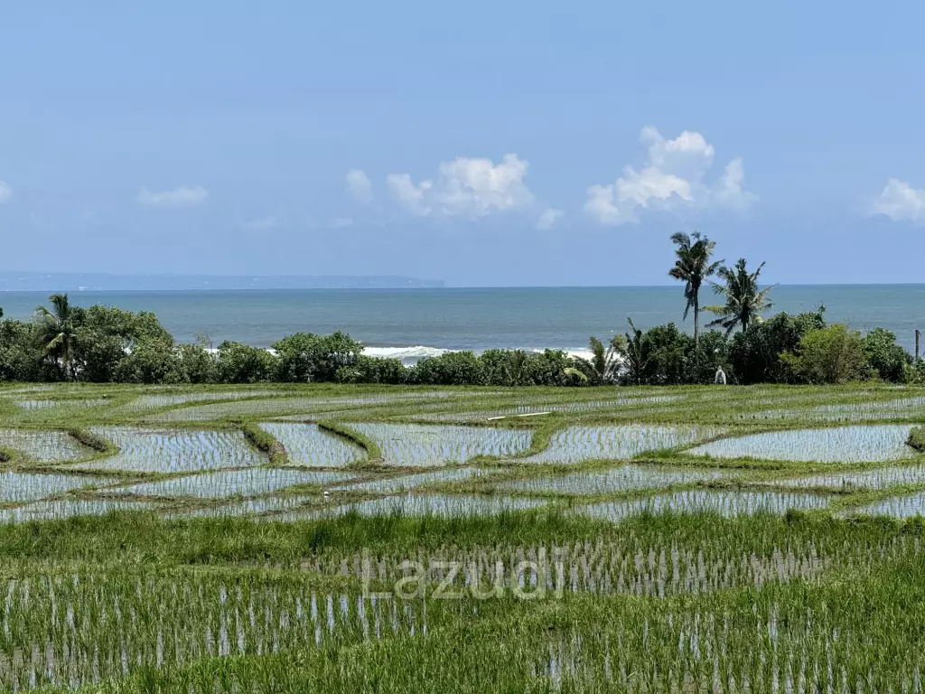 LEASEHOLD LAND WALKING DISTACE TO THE BEACH IN TABANAN