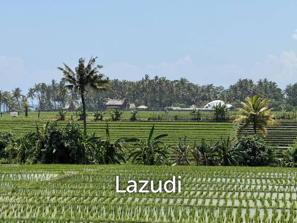 LEASEHOLD LAND WALKING DISTACE TO THE BEACH IN TABANAN