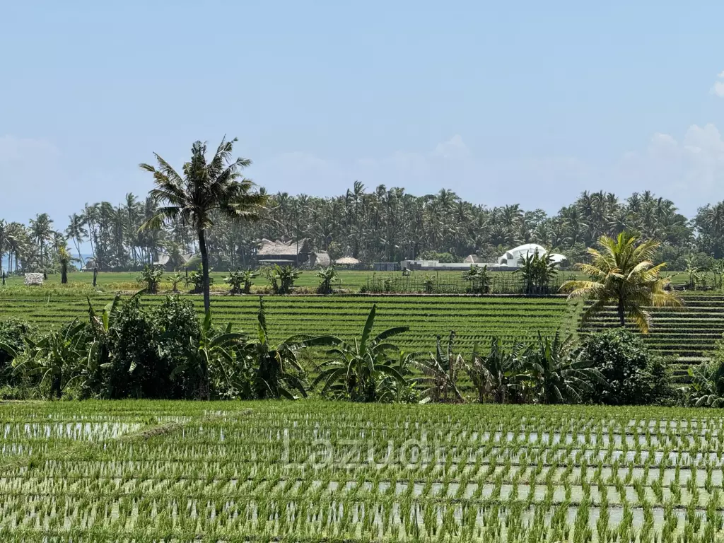 LEASEHOLD LAND WALKING DISTACE TO THE BEACH IN TABANAN