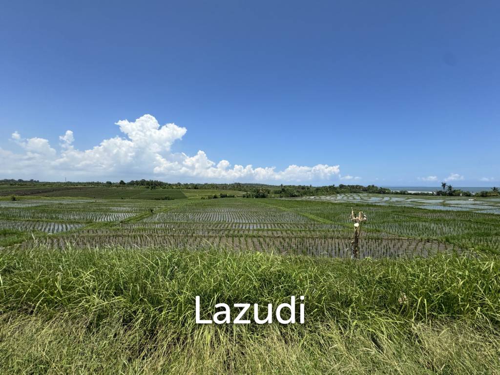 LEASEHOLD LAND WALKING DISTACE TO THE BEACH IN TABANAN