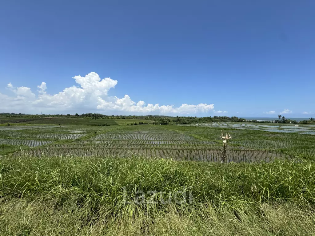 LEASEHOLD LAND WALKING DISTACE TO THE BEACH IN TABANAN