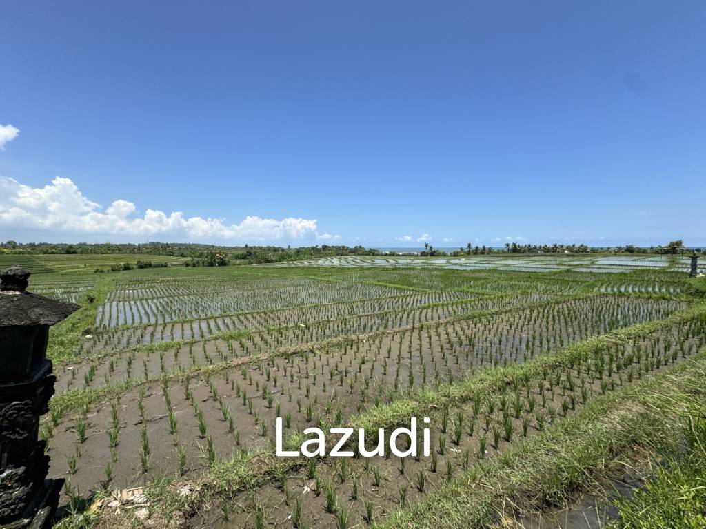 LEASEHOLD LAND WALKING DISTACE TO THE BEACH IN TABANAN