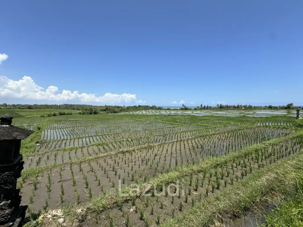 LEASEHOLD LAND WALKING DISTACE TO THE BEACH IN TABANAN