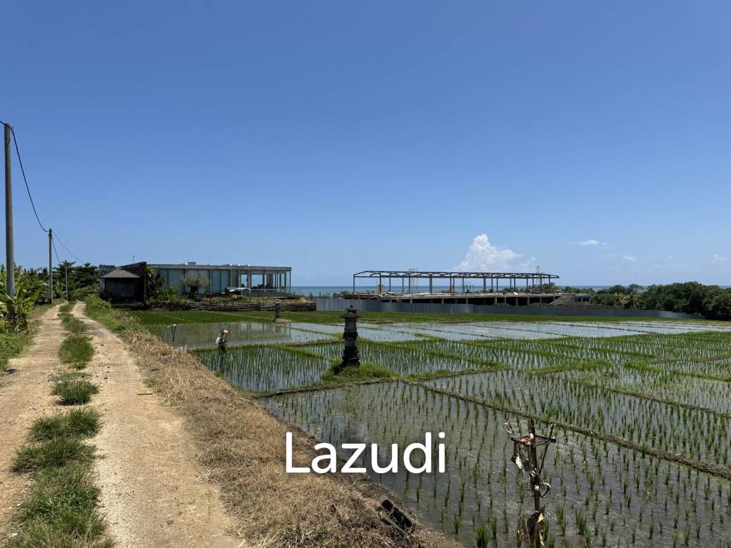 LEASEHOLD LAND WALKING DISTACE TO THE BEACH IN TABANAN