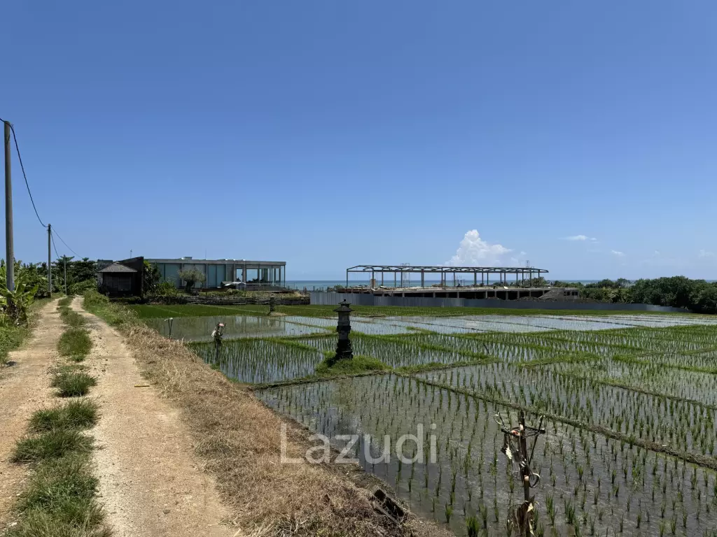 LEASEHOLD LAND WALKING DISTACE TO THE BEACH IN TABANAN