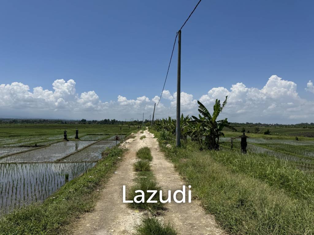 LEASEHOLD LAND WALKING DISTACE TO THE BEACH IN TABANAN