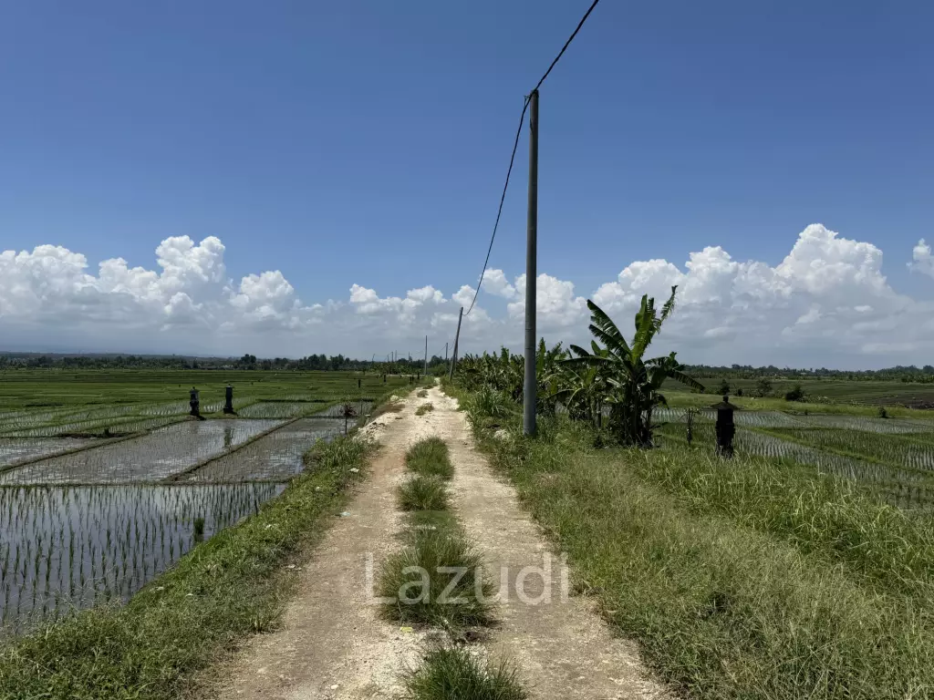 LEASEHOLD LAND WALKING DISTACE TO THE BEACH IN TABANAN