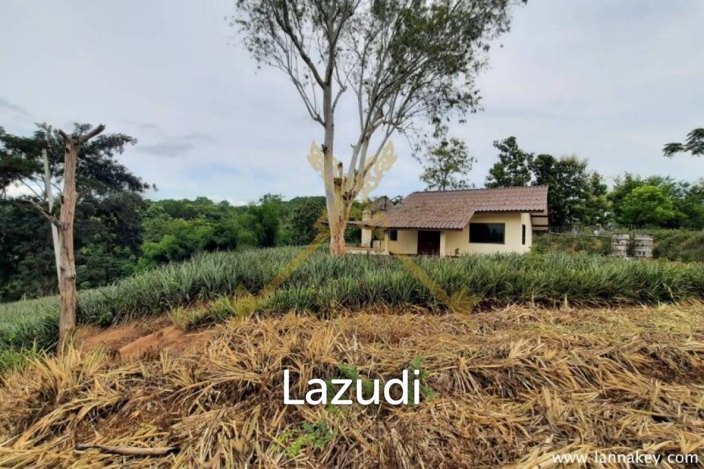 Nice Location Land near City