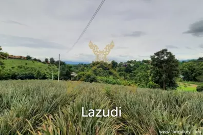 Nice Location Land near City