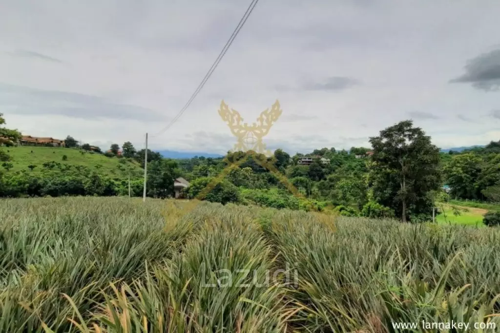 Nice Location Land near City