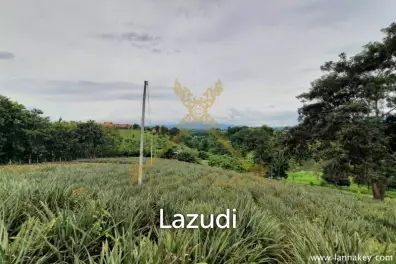 Nice Location Land near City