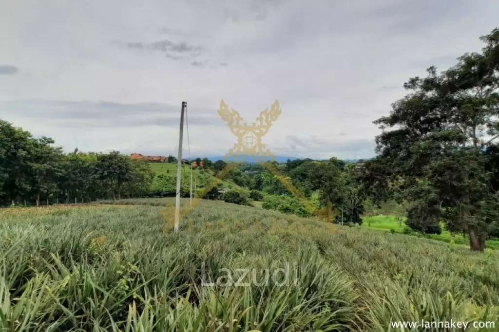 Nice Location Land near City