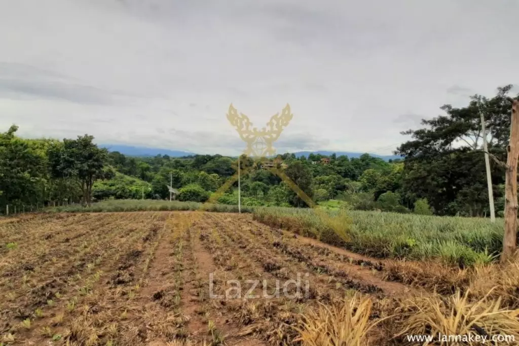 Nice Location Land near City