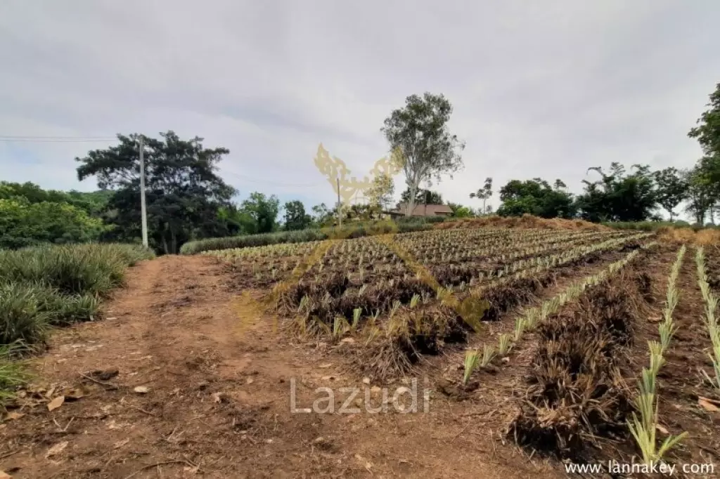 Nice Location Land near City