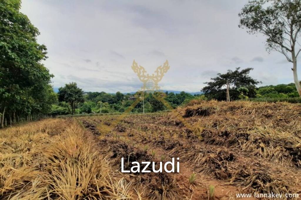 Nice Location Land near City