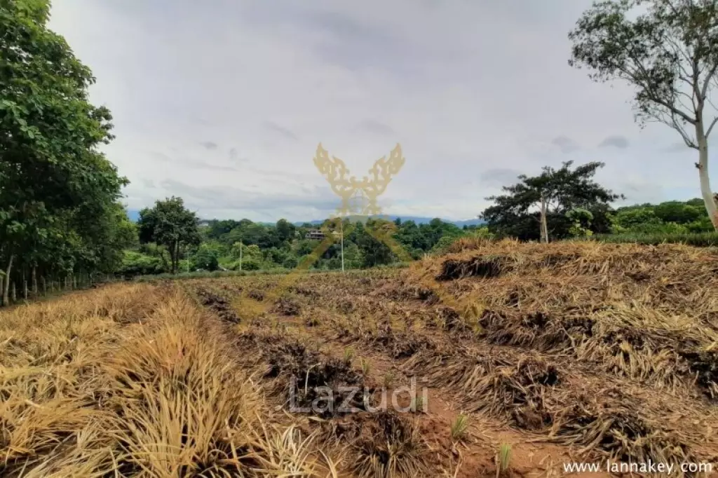 Nice Location Land near City