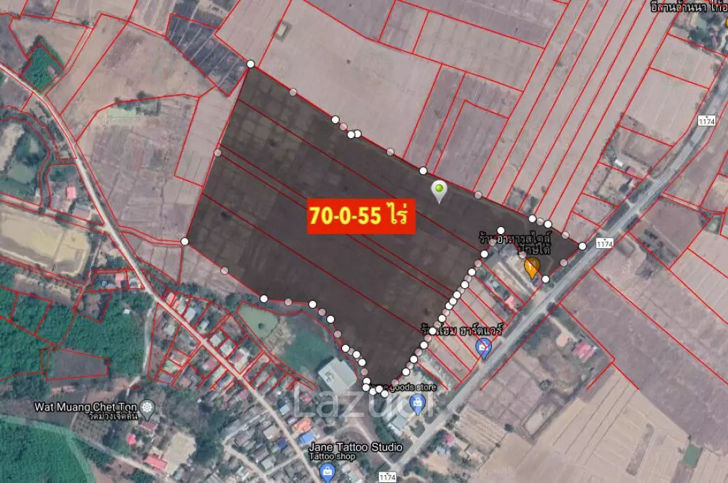 70 rai of Land in Chiang Khong for Sale