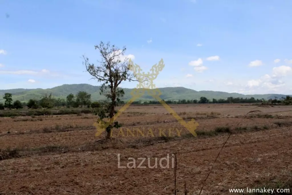 70 rai of Land in Chiang Khong for Sale