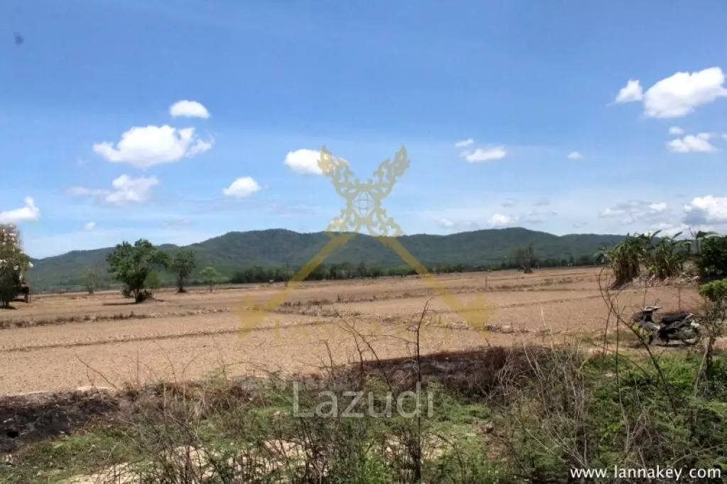 70 rai of Land in Chiang Khong for Sale