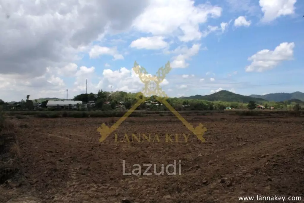 70 rai of Land in Chiang Khong for Sale
