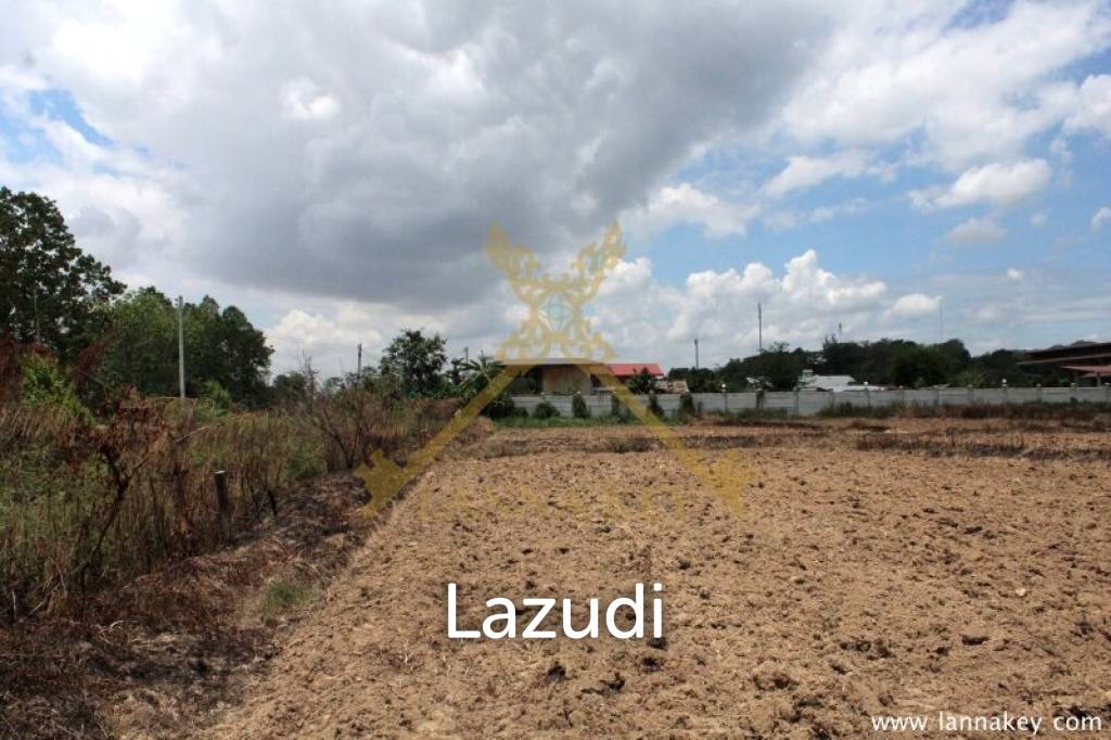 70 rai of Land in Chiang Khong for Sale