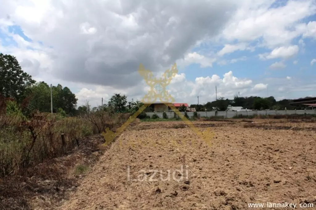 70 rai of Land in Chiang Khong for Sale