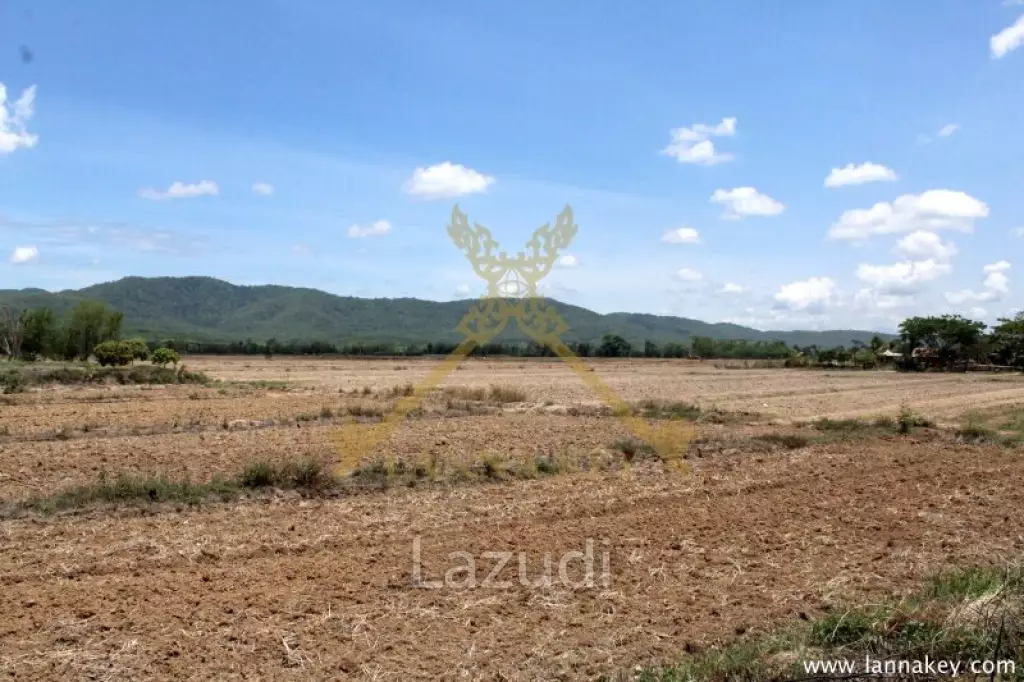 70 rai of Land in Chiang Khong for Sale