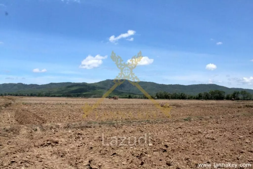 70 rai of Land in Chiang Khong for Sale
