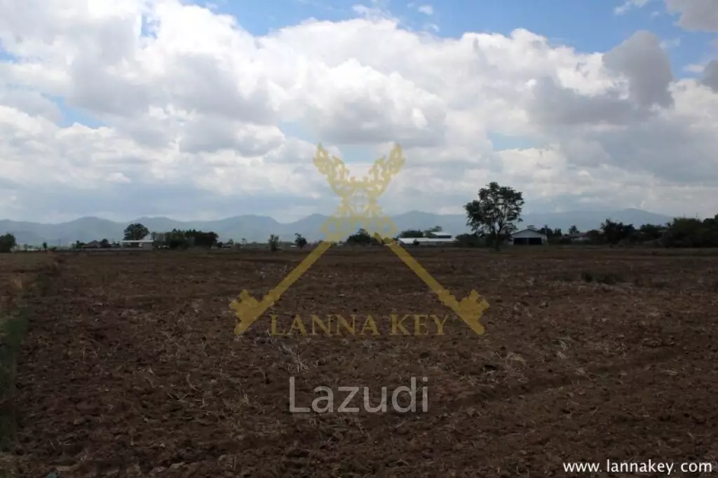 70 rai of Land in Chiang Khong for Sale