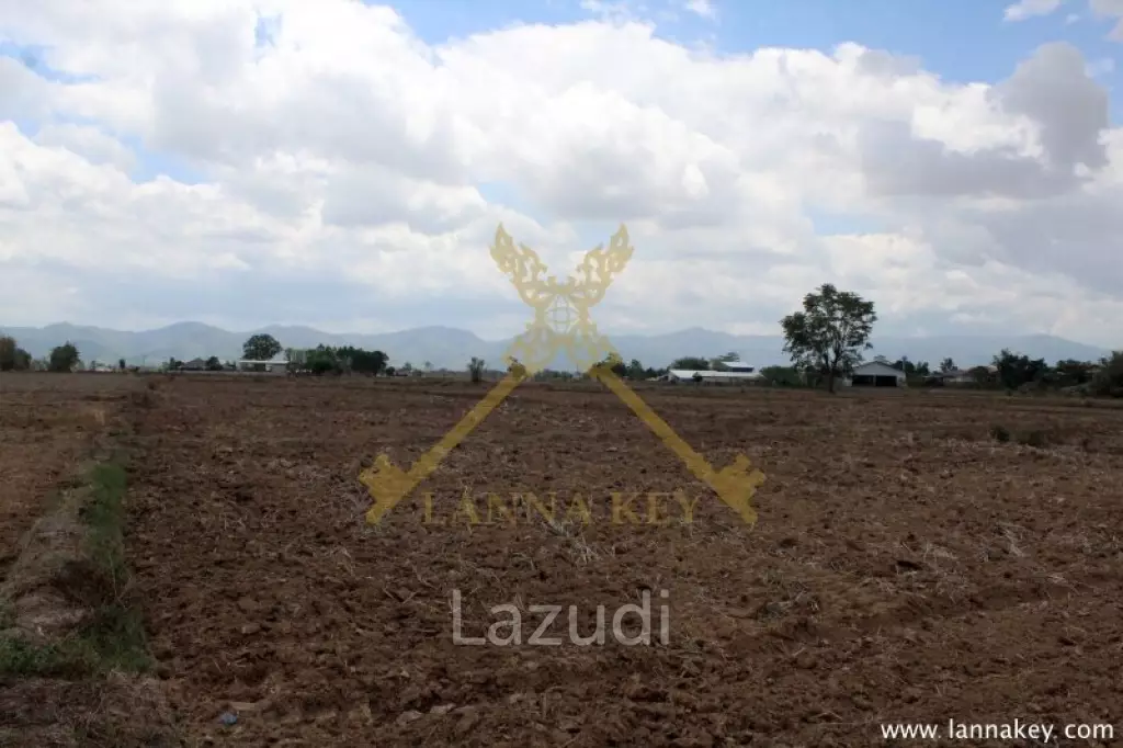 70 rai of Land in Chiang Khong for Sale