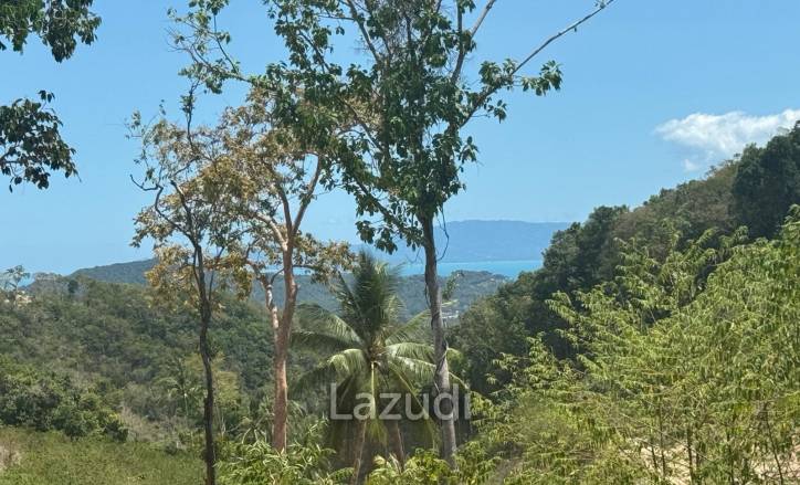 Sea View Land Plot 802 SQ.M in Koh Phangan