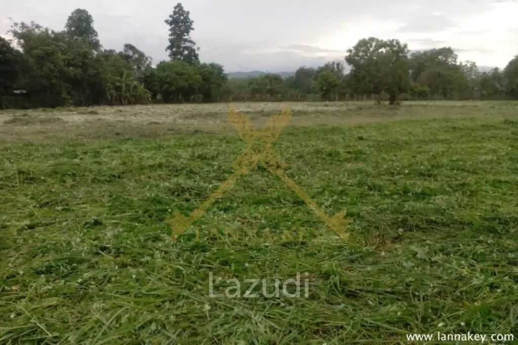 Nice Location Land near Singha Park for Sale