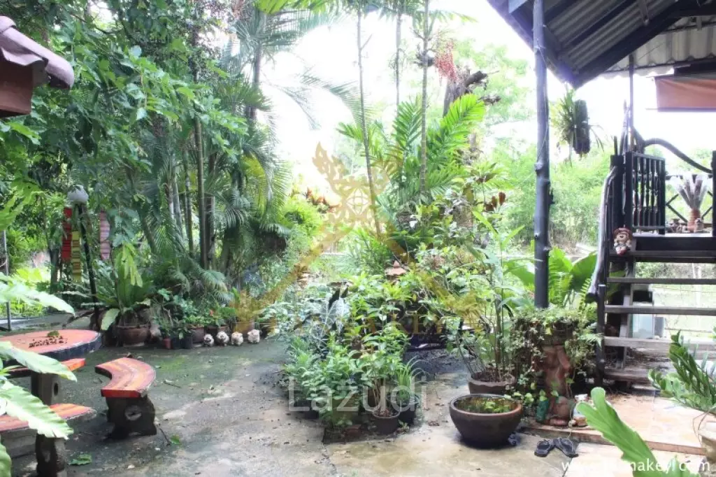 Nice Location House with 1-2-0 rai of Land