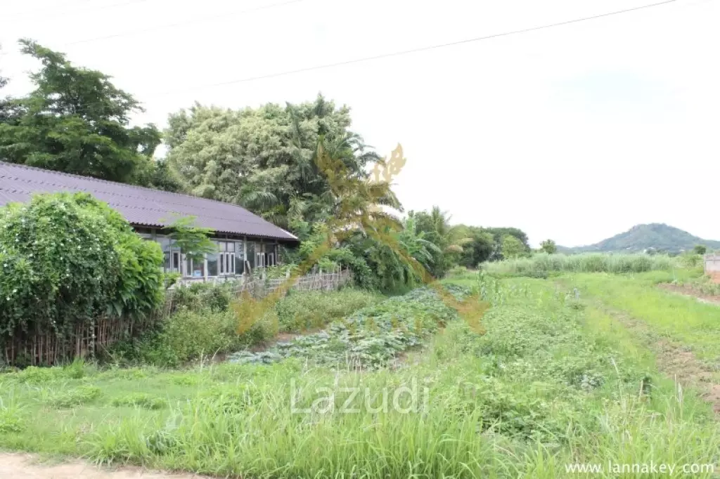 Nice Location House with 1-2-0 rai of Land