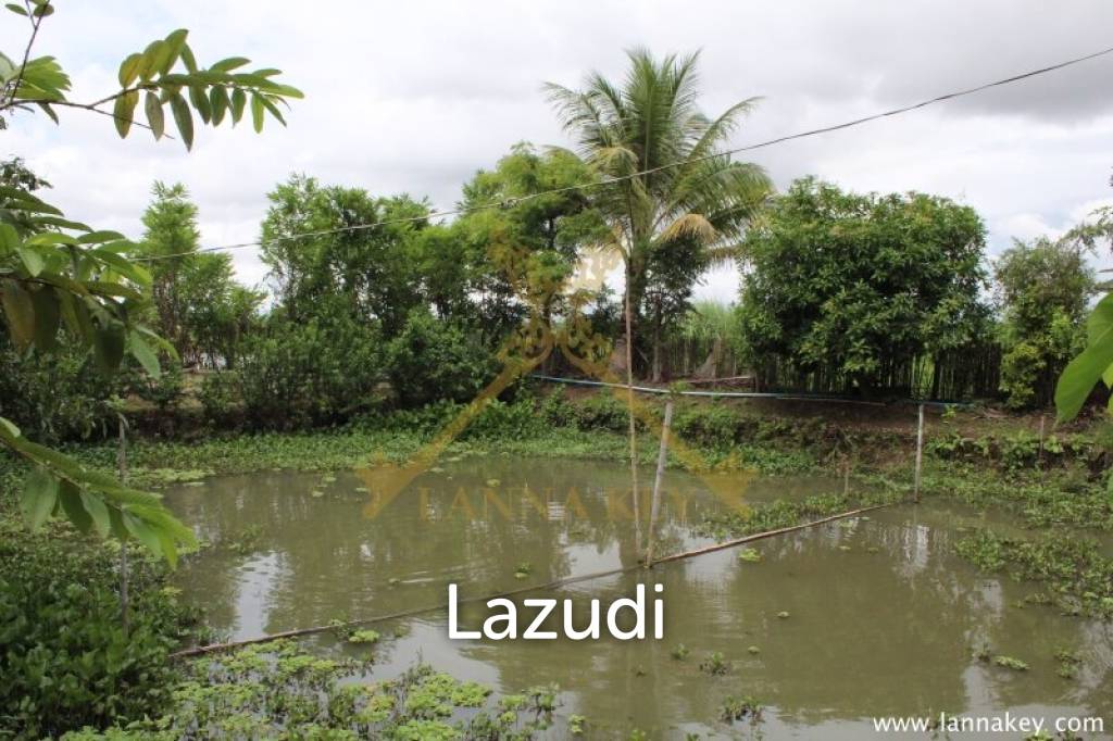 Nice Location House with 1-2-0 rai of Land