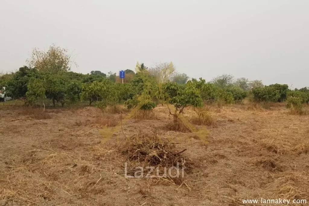 2 -3-79 rai of Land in City for Sale